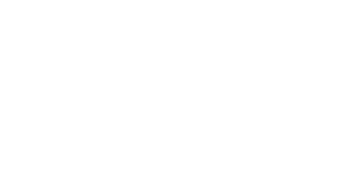 APEX
